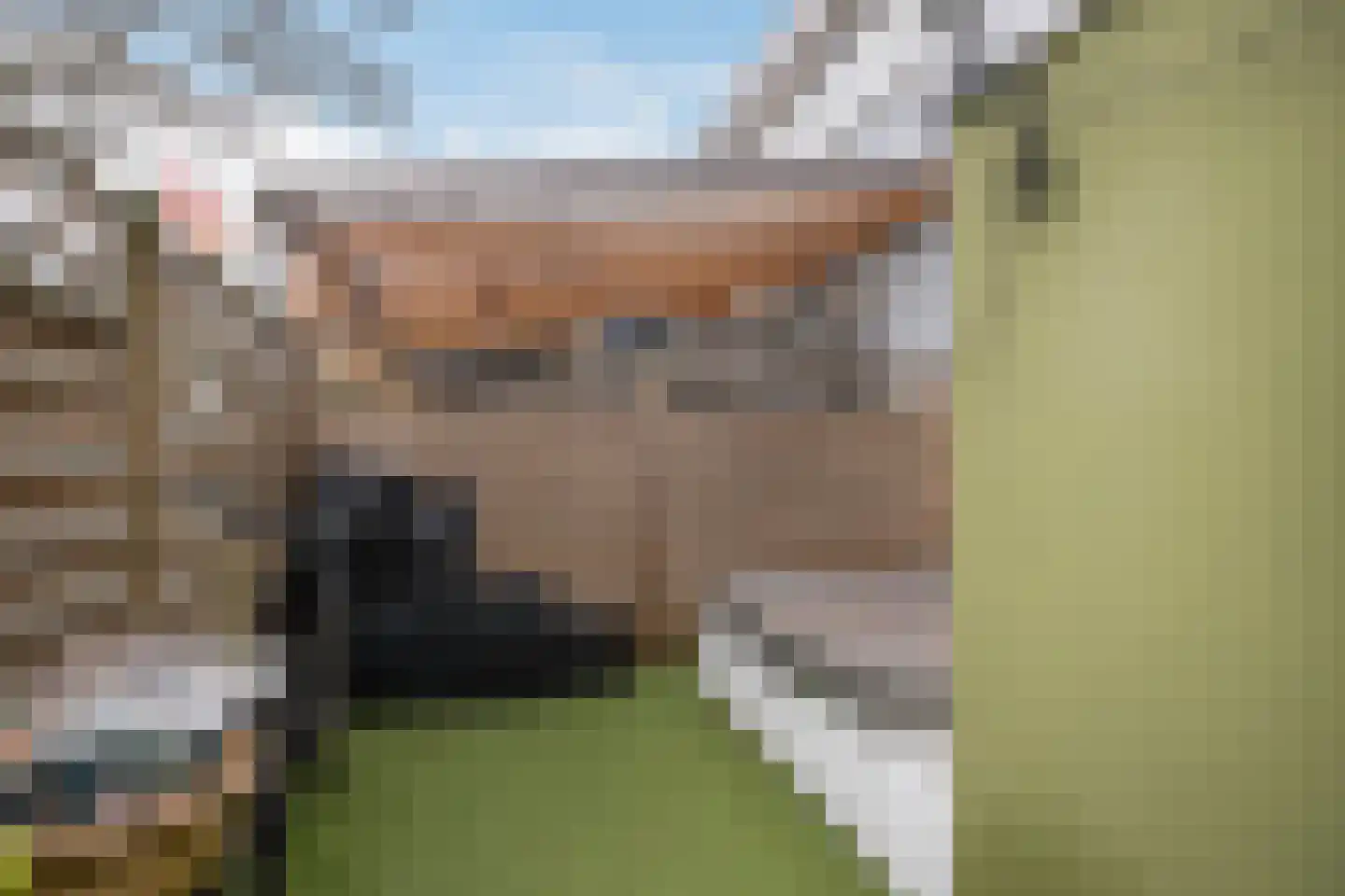 Sommelsdijksestraat 12 Schiedam thumbnail 4