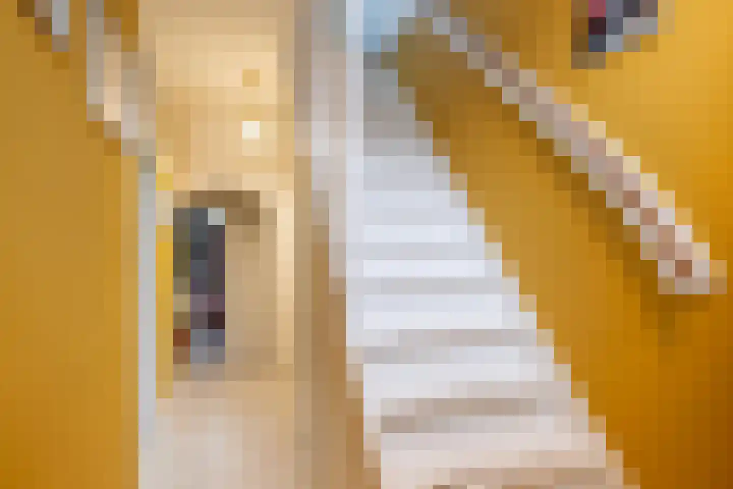 Sommelsdijksestraat 12 Schiedam thumbnail 9