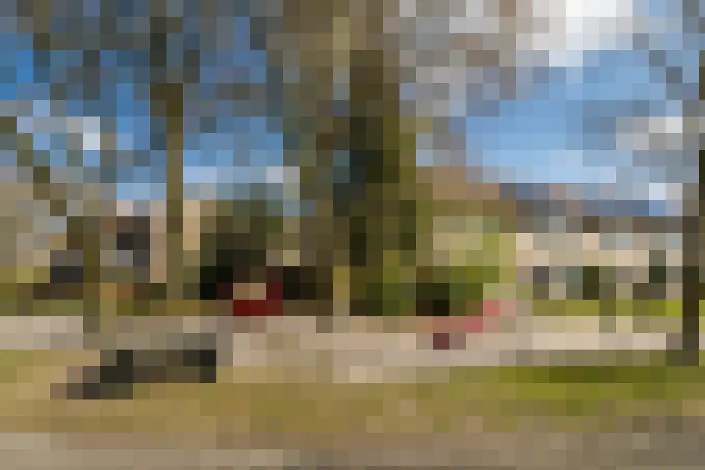 Sommerscamp 18 Asten thumbnail 74