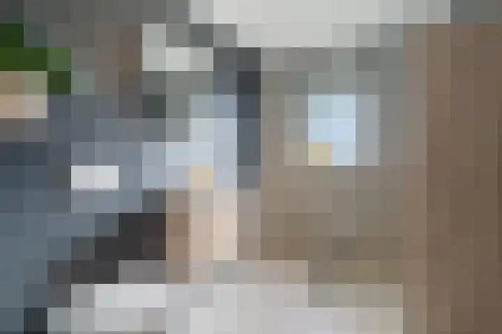 Sommerscamp 2 Asten thumbnail 4