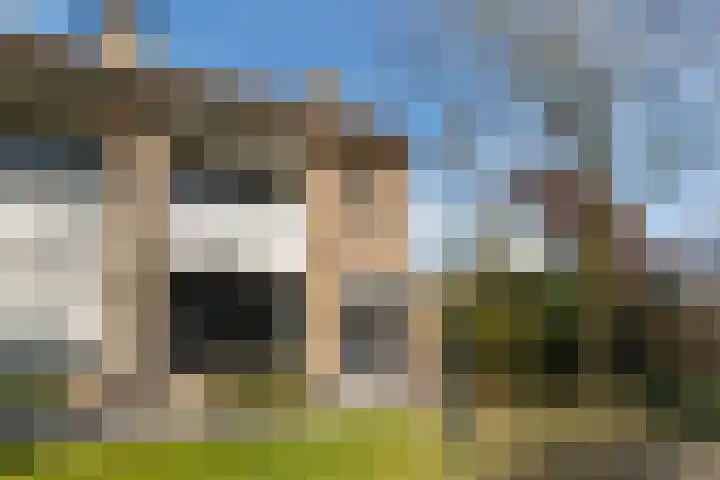 Sommerscamp 2 Asten thumbnail 67