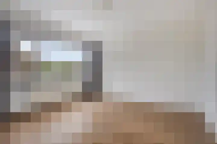 Sommerscamp 32 Asten thumbnail 17