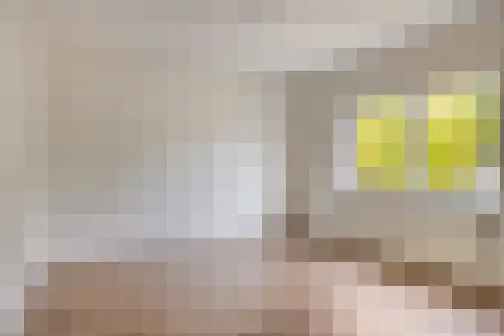 Sommerscamp 32 Asten thumbnail 18