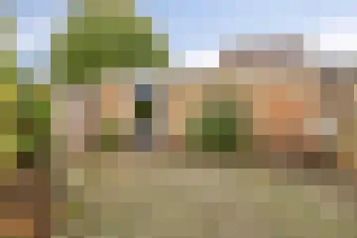 Sommerscamp 32 Asten thumbnail 25