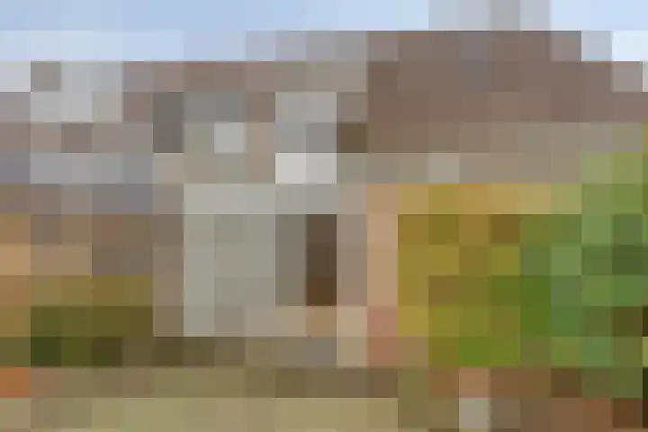 Sommerscamp 32 Asten thumbnail 27