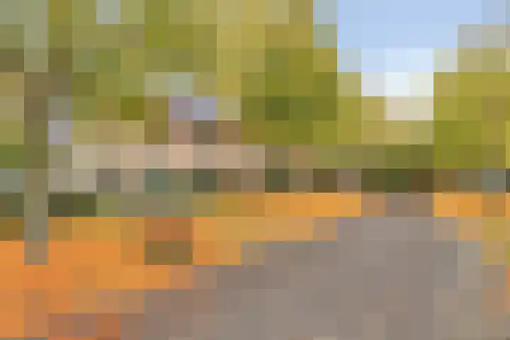 Sommerscamp 32 Asten thumbnail 6