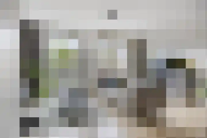 Sonate 10 Oss thumbnail 12