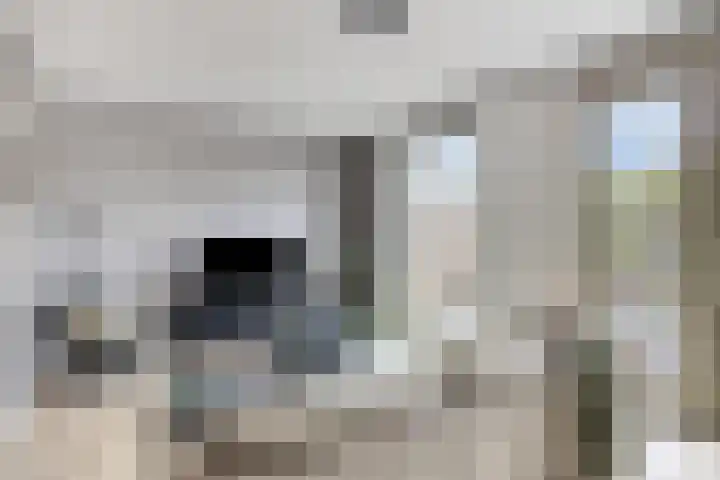 Sonate 10 Oss thumbnail 13