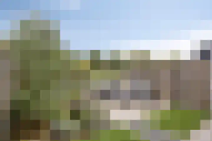 Sonate 10 Oss thumbnail 36