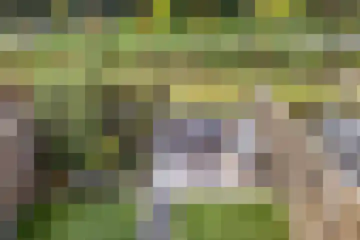 Sonate 10 Oss thumbnail 38