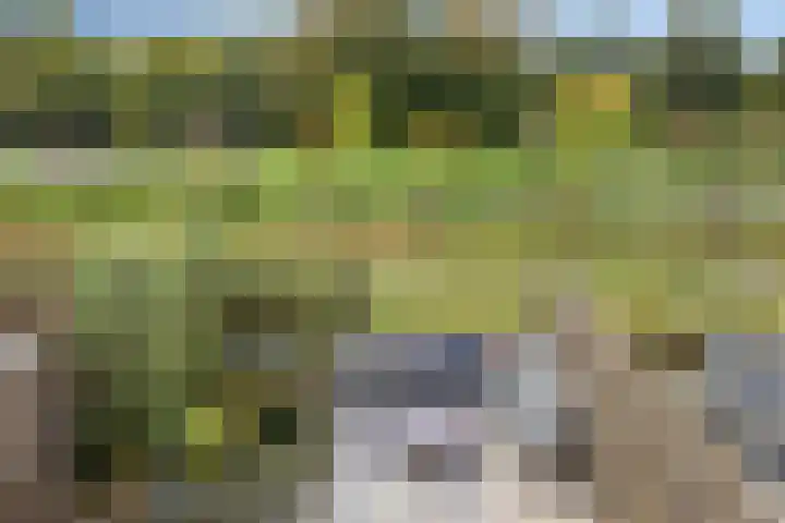 Sonate 10 Oss thumbnail 39