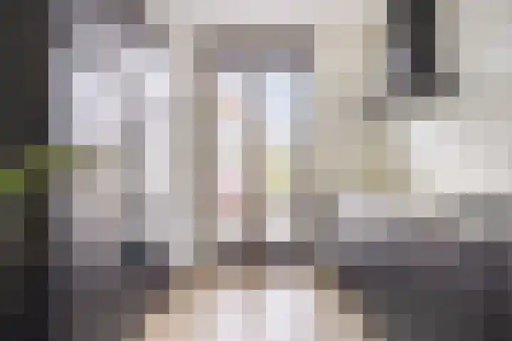 Sonate 10 Oss thumbnail 4