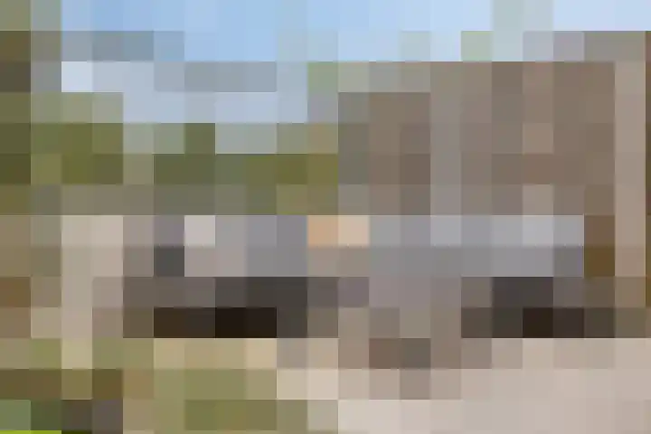 Sonate 10 Oss thumbnail 40