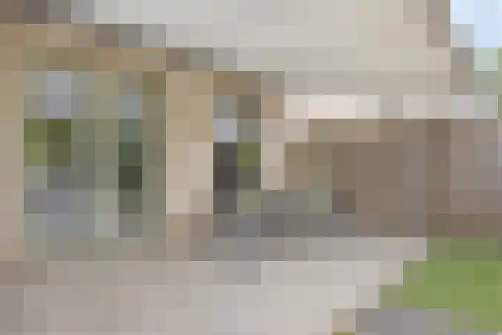 Sonate 10 Oss thumbnail 42