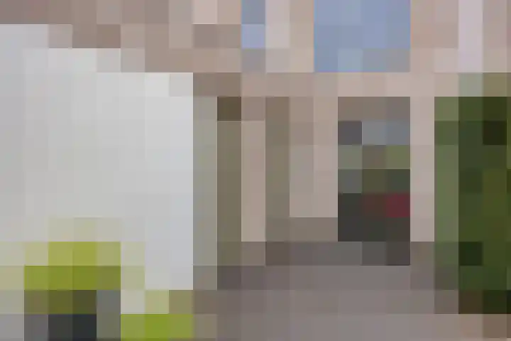 Sonate 10 Oss thumbnail 45