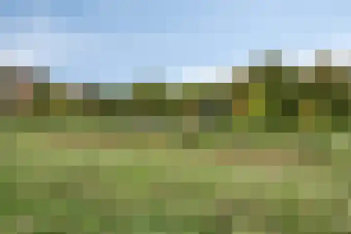 Sonate 10 Oss thumbnail 48