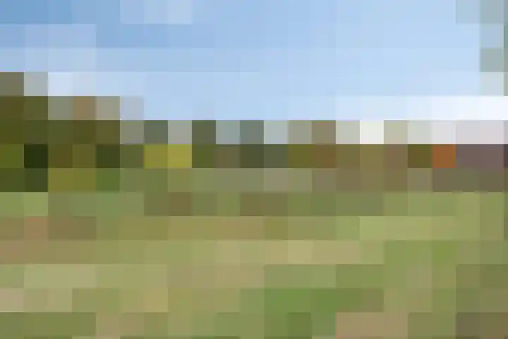 Sonate 10 Oss thumbnail 49