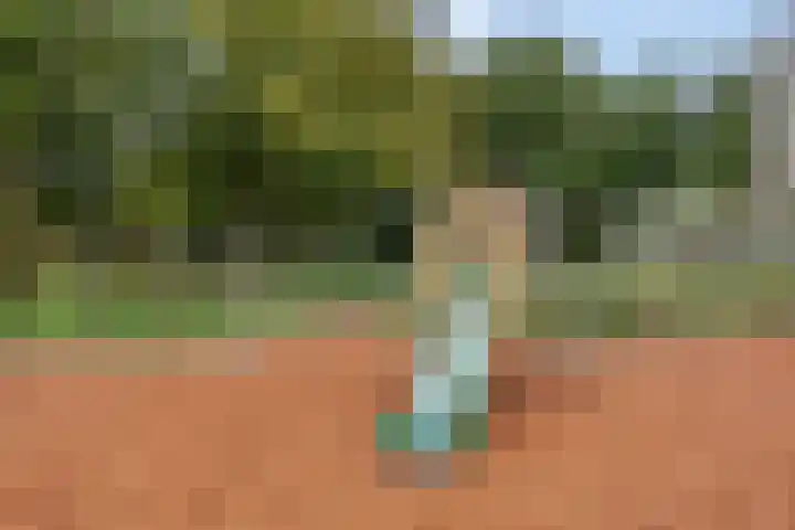 Sonate 10 Oss thumbnail 50