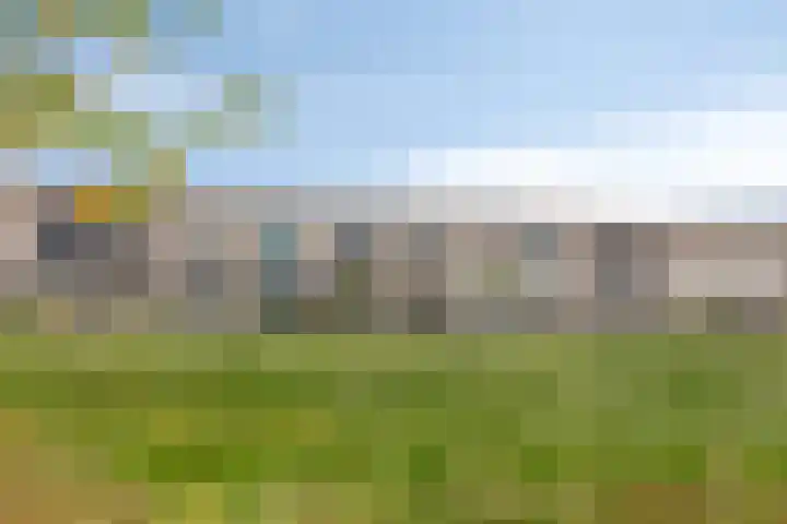 Sonate 10 Oss thumbnail 51