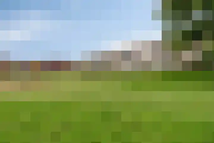 Sonate 10 Oss thumbnail 52
