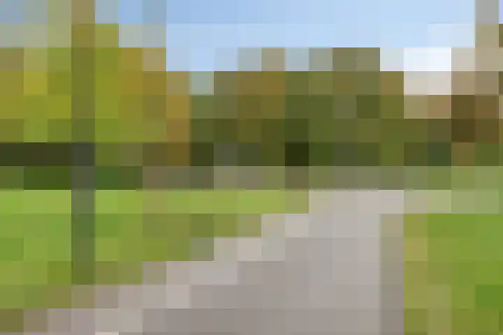 Sonate 10 Oss thumbnail 53