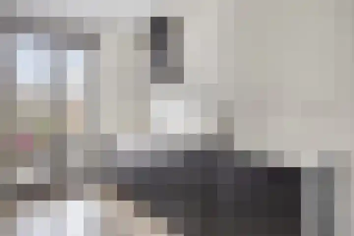 Sonate 10 Oss thumbnail 6