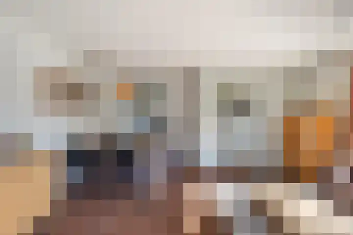 Sonate 10 Zwijndrecht thumbnail 11