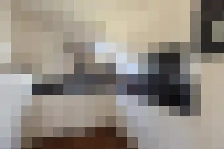 Sonate 10 Zwijndrecht thumbnail 14