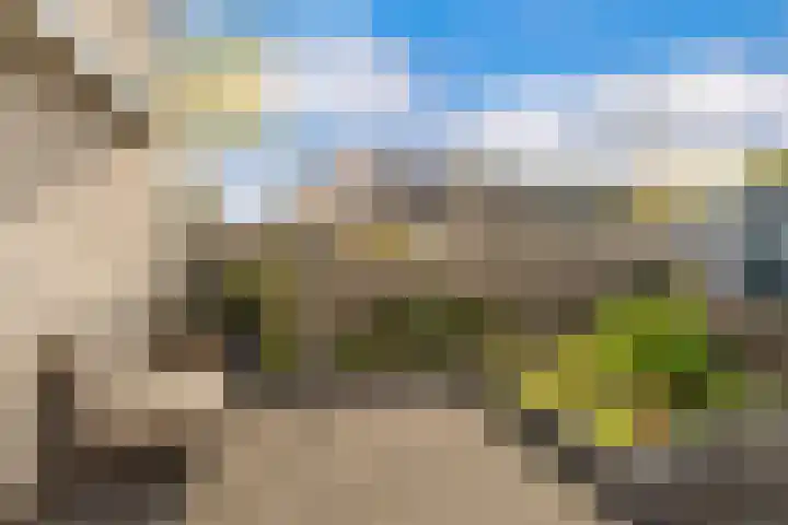 Sonate 10 Zwijndrecht thumbnail 16