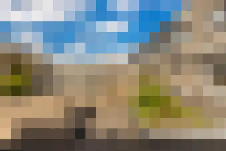 Sonate 10 Zwijndrecht thumbnail 17