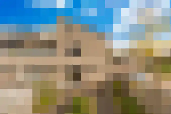 Sonate 10 Zwijndrecht thumbnail 18