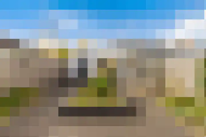 Sonate 10 Zwijndrecht thumbnail 20