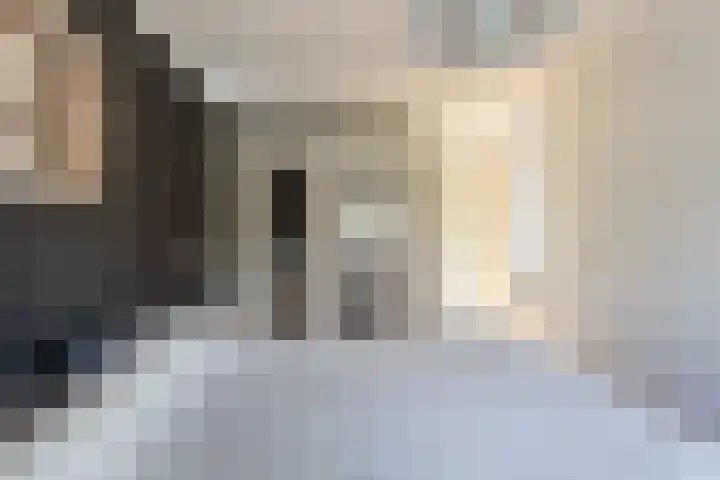 Sonate 10 Zwijndrecht thumbnail 26