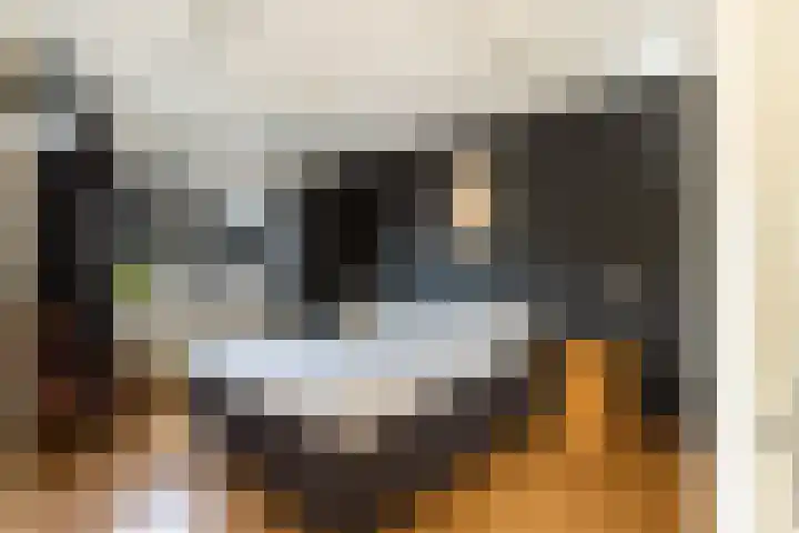 Sonate 10 Zwijndrecht thumbnail 27