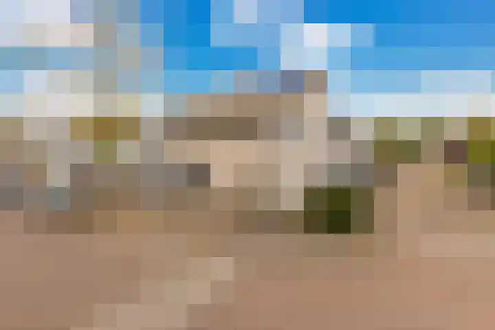 Sonate 10 Zwijndrecht thumbnail 30