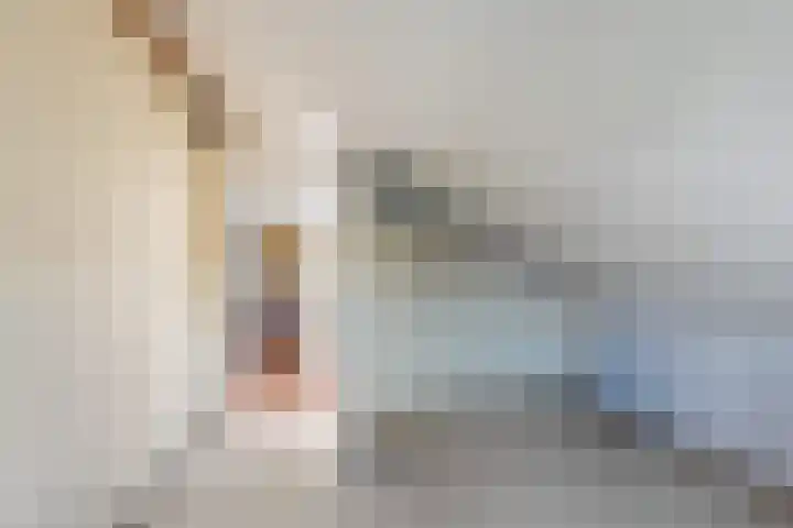 Sonate 10 Zwijndrecht thumbnail 33