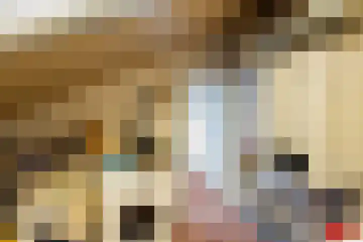 Sonate 10 Zwijndrecht thumbnail 35