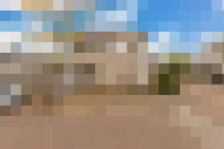 Sonate 10 Zwijndrecht thumbnail 36