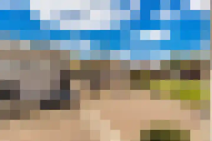 Sonate 10 Zwijndrecht thumbnail 37