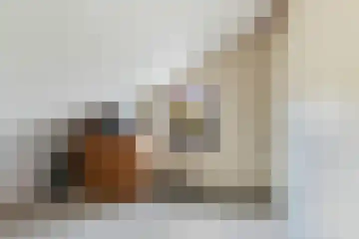 Sonate 10 Zwijndrecht thumbnail 38