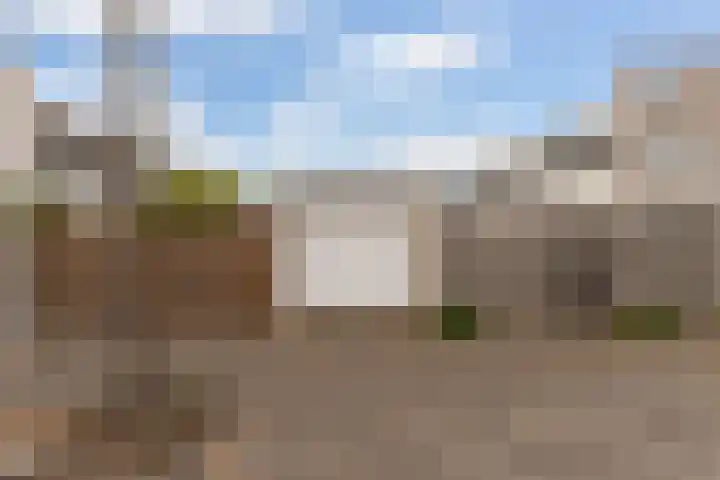 Sonate 10 Zwijndrecht thumbnail 39
