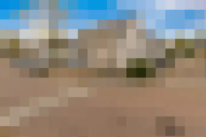 Sonate 10 Zwijndrecht thumbnail 4