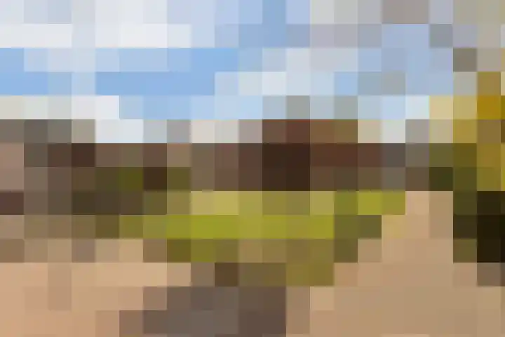 Sonate 10 Zwijndrecht thumbnail 41