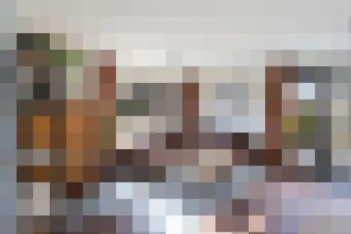 Sonate 10 Zwijndrecht thumbnail 9