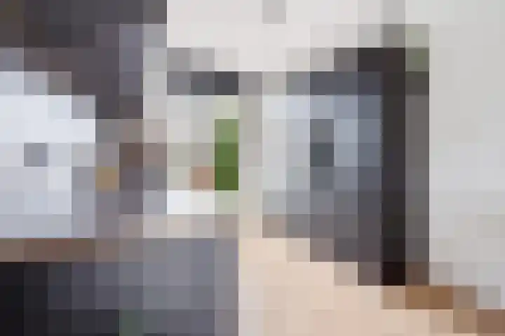 Sonate 12 Oss thumbnail 13