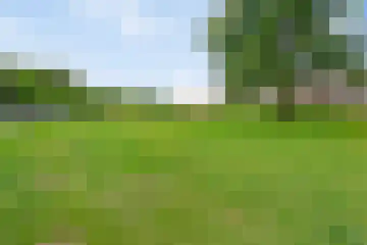 Sonate 16 Oss thumbnail 28