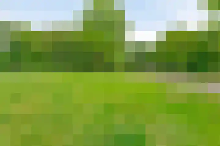 Sonate 16 Oss thumbnail 29