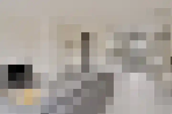 Sonate 16 Oss thumbnail 4
