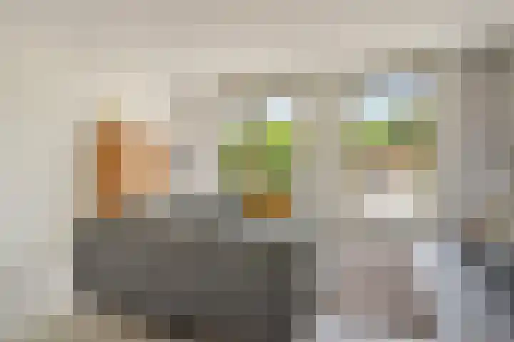 Sonate 16 Oss thumbnail 7