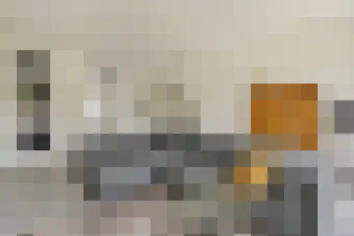 Sonate 16 Oss thumbnail 8